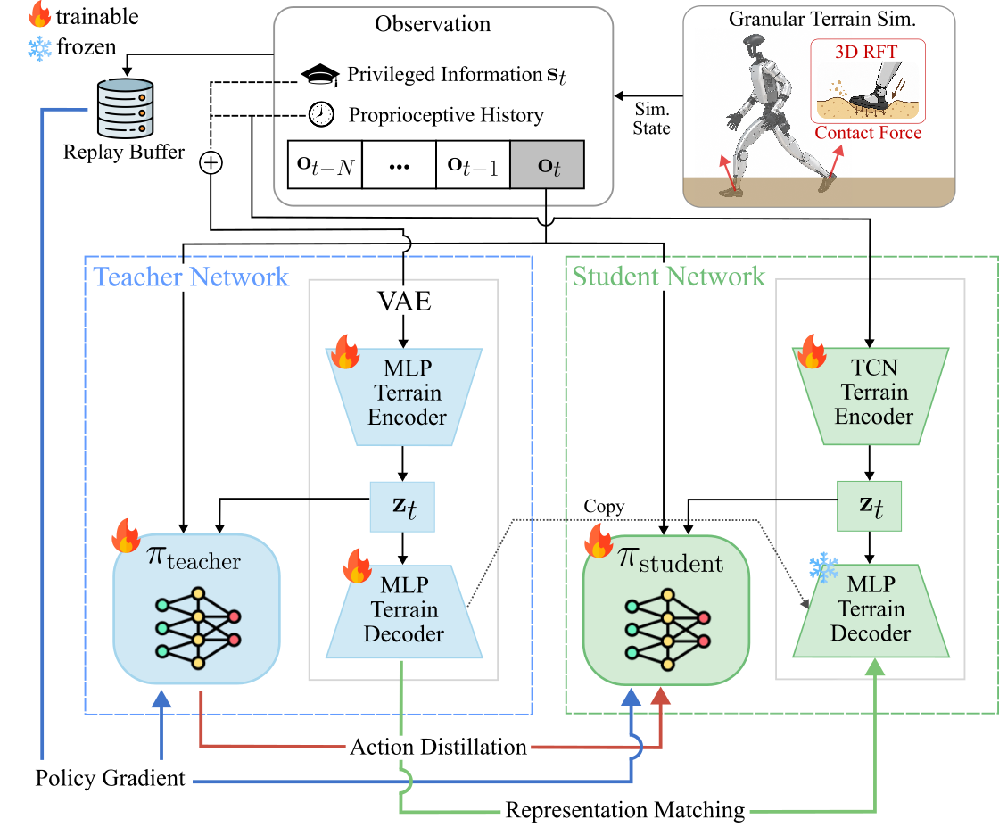 Learning Terrain-Adaptive Humanoid Locomotion on Granular Terrain